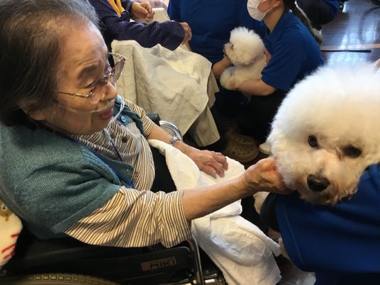 庭で散歩する人々