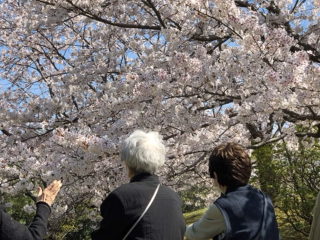 利用者の麻雀を楽しむ様子 日常風景 明るい光が差し込む室内で、笑顔を交わしながら麻雀を楽しむ利用者の皆様。交流の時間を大切にしています。