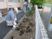 中庭での植栽活動