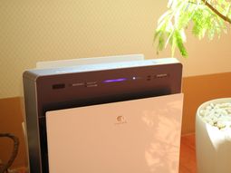 エアコンと植物のある室内