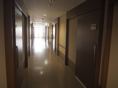 清潔な廊下の様子
