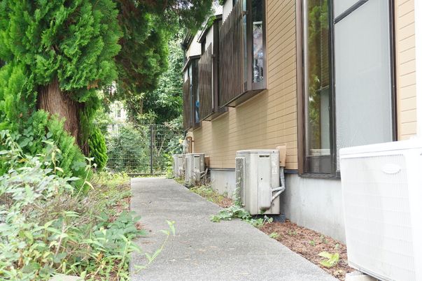 緑に囲まれた建物の外観