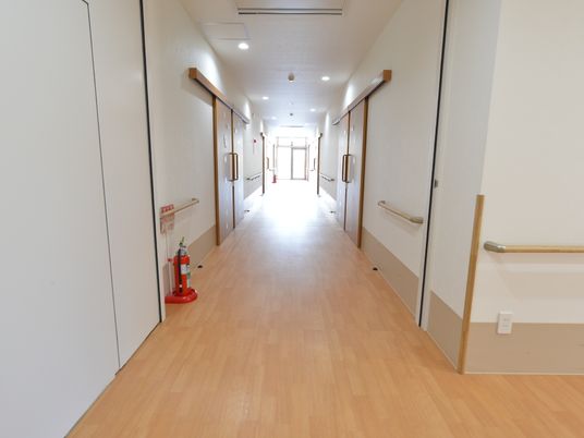 明るい廊下の一部