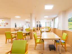 柔らかな光の食堂