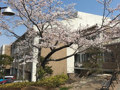 春の中庭