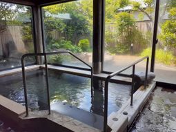 緑豊かな浴室の風景