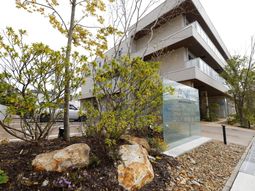 緑豊かなエントランス