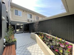 中庭の明るい風景