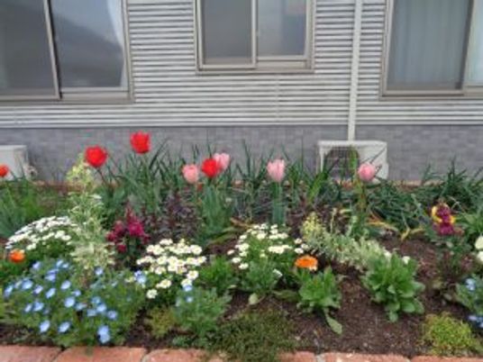 色とりどりの花壇