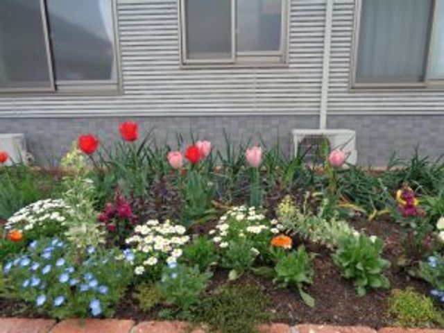 色とりどりの花壇