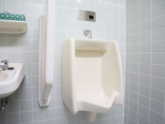清潔なトイレの設備