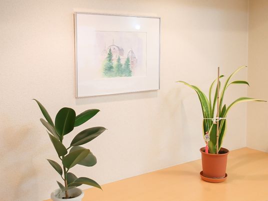 壁画と観葉植物のある空間