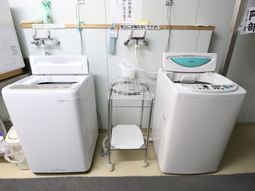 洗濯機と乾燥機が並ぶ空間