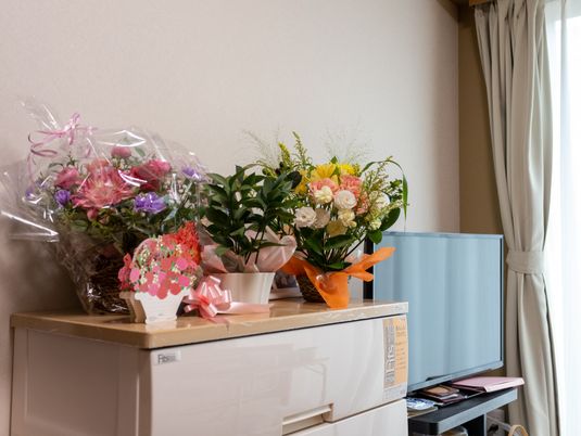 きれいな花のある居室