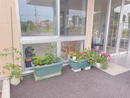 エントランスの植物装飾