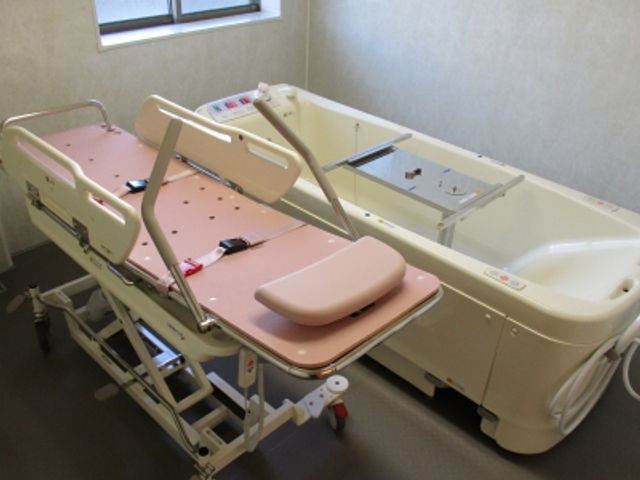機能的な浴室 浴室 リフト付きの洗い場は、安全で快適な入浴時間を提供します。清潔な空間で安心です。
