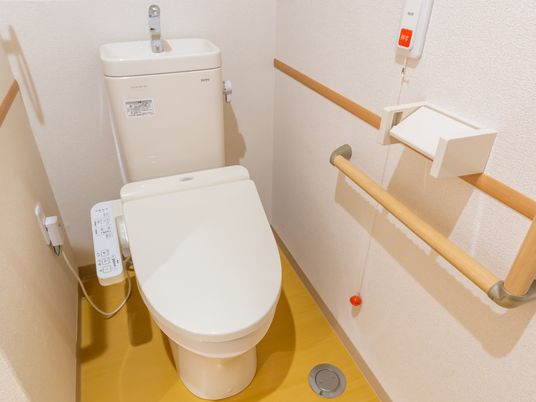 便利な設備のトイレ