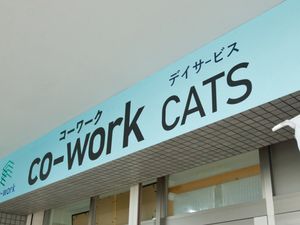 CO-WORK CATS看板  