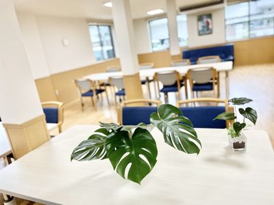 広々とした綺麗な食堂