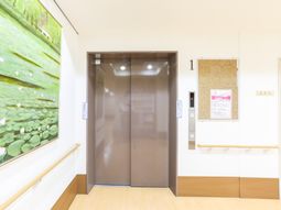 明るい廊下のエレベーター