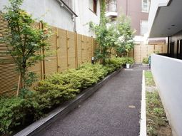 緑あふれる施設の中庭