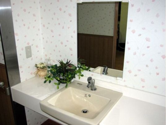 施設の写真 洗面台の壁は、白をベースにピンク色の柄が入っている。フェイクグリーンなどが飾られ、掃除が行き届いた清潔感がある空間である。