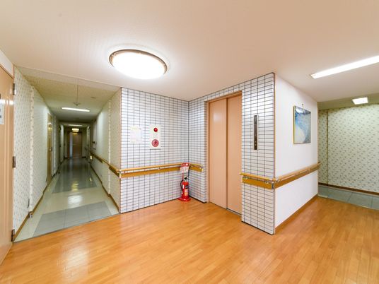 清潔な廊下とエレベーター