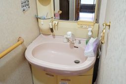ピンクの洗面台の一角