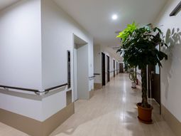 清潔な廊下と植物