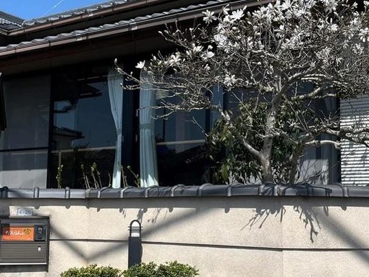 施設外観の庭先  
