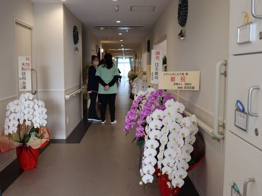 廊下に飾られた花々