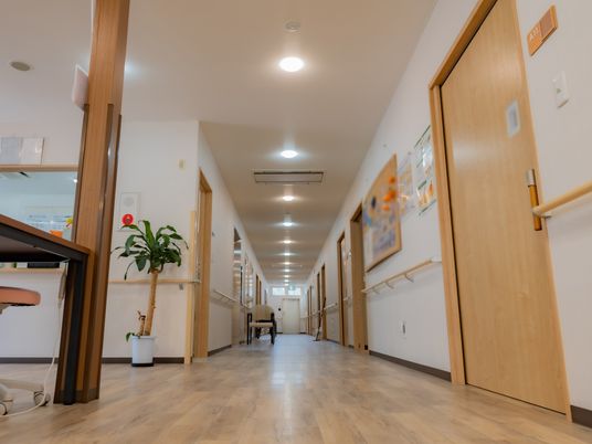 清潔感ある廊下の様子