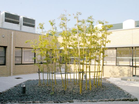 竹が植えられた中庭