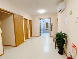清潔な廊下と観葉植物
