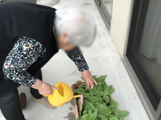植物へ水やりする人
