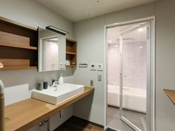 清潔な洗面台と浴室