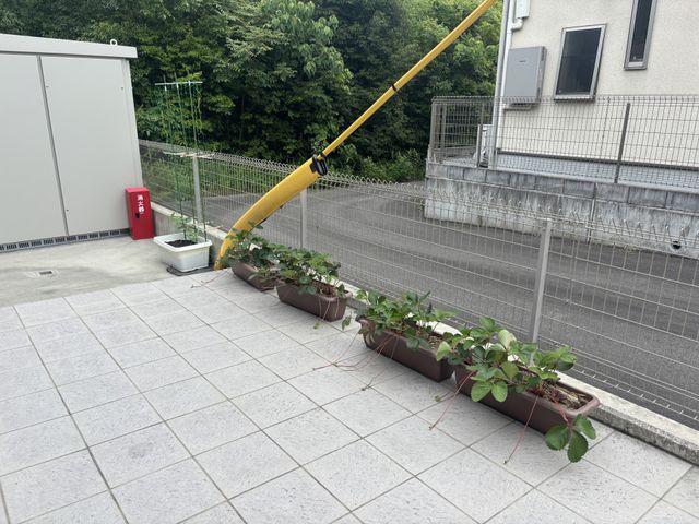 プランターの植物とテラス テラス 日差しが注ぐテラスで、プランターに育つ植物が自然を感じさせます。くつろぎの場を提供します。