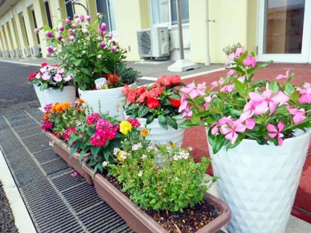 花壇のある玄関前 エントランス   玄関前に色とりどりの花が並び、明るい雰囲気です。来訪者を気持ちよく迎えられる印象です。