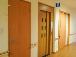 廊下の清潔な扉たち