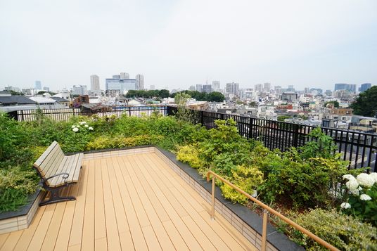 中庭のベンチと植物