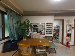 共用スペースと植物