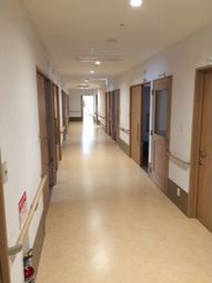 明るい廊下の様子