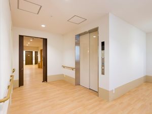 清潔な廊下とエレベーター
