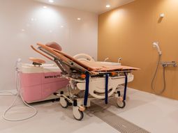 ピンクの特殊浴槽