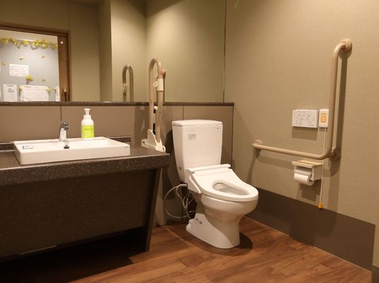 手すり付きトイレの内観