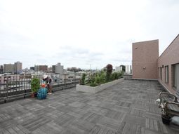 広々とした屋上の空間