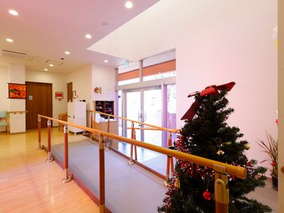 エントランスのクリスマスツリー