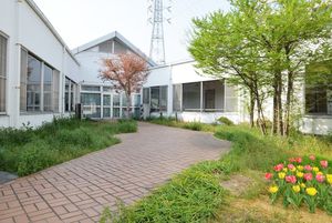 散歩道のある庭