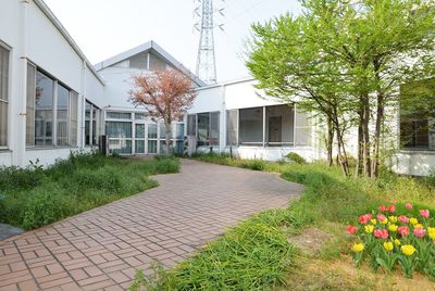 散歩道のある庭