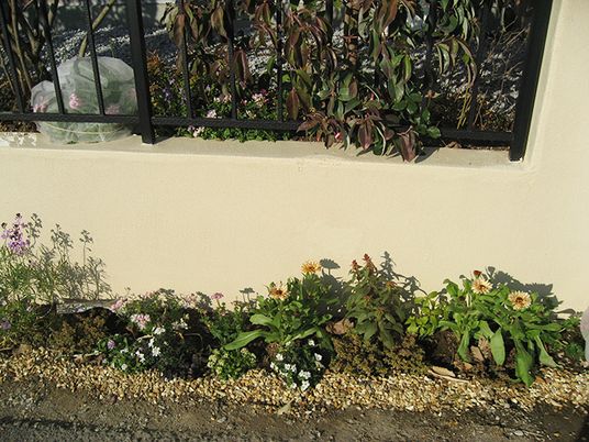 ガーデンの植栽